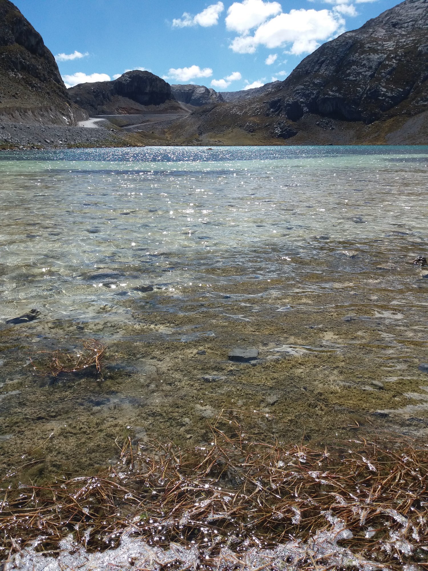 Cordillera de la Viuda 2